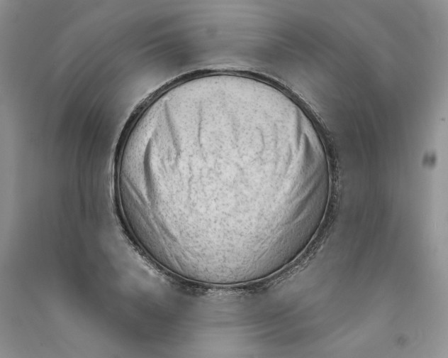 X0000090600840200708141329