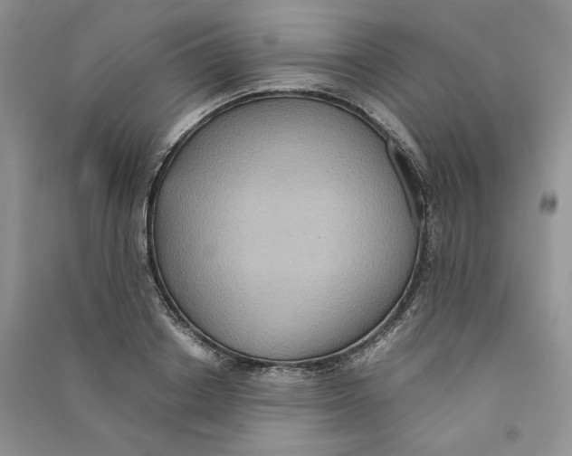 X0000090600842200708141329