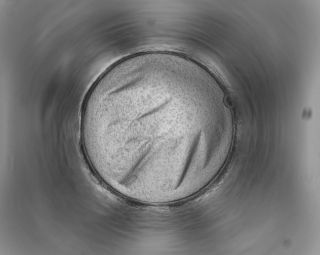 X0000090600844200708141329