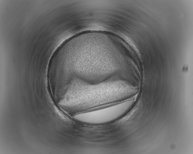 X0000090600845200708141329