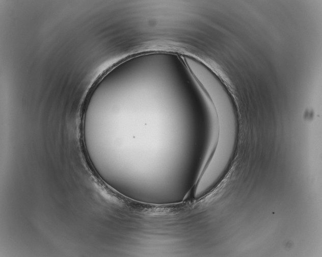 X0000090600846200708141329