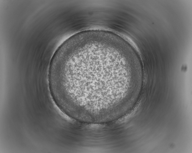 X0000090600847200708141329