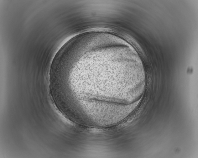 X0000090600852200708141329