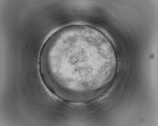 X0000090600853200708141329