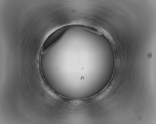 X0000090600854200708141329