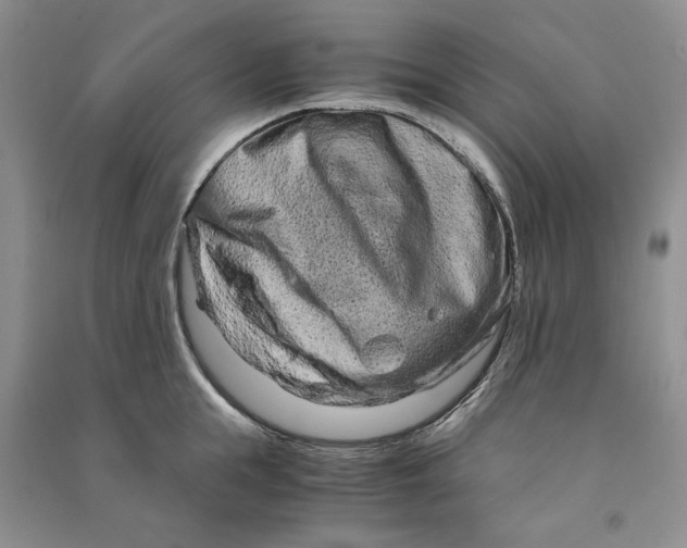 X0000090600855200708141329