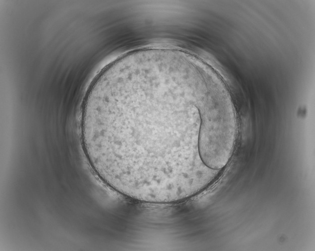 X0000090600856200708141329