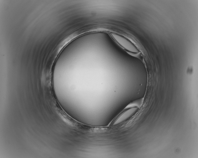 X0000090600858200708141329