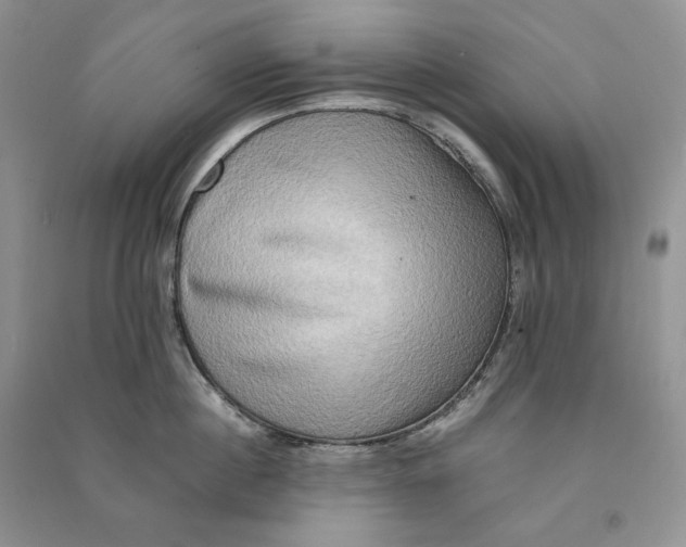 X0000090600860200708141329