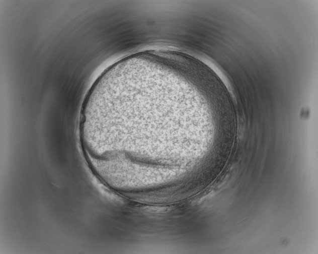 X0000090600861200708141329