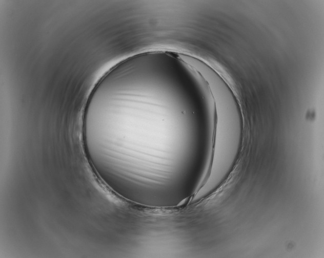 X0000090600862200708141329