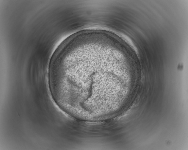 X0000090600863200708141329