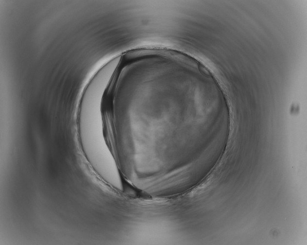 X0000090600864200708141329