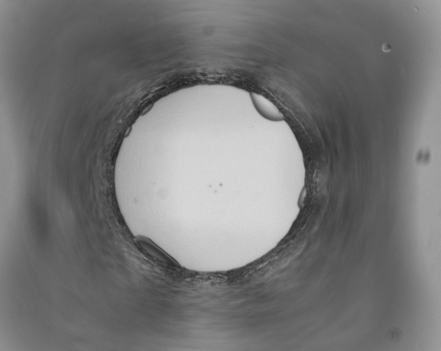 X0000090600865200708141329