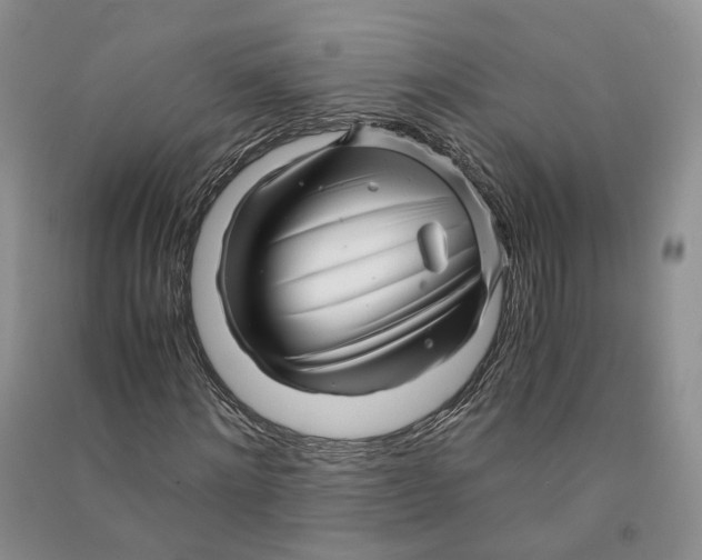 X0000090600868200708141329