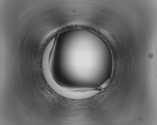 X0000090600872200708141329