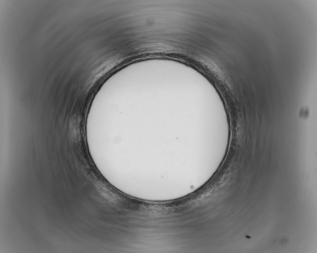 X0000090600873200708141328