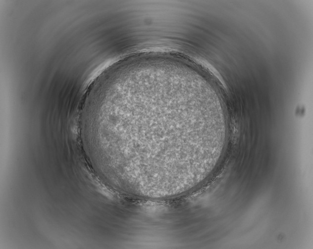 X0000090600874200708141328