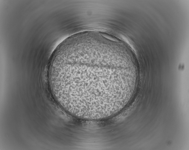 X0000090600875200708141328