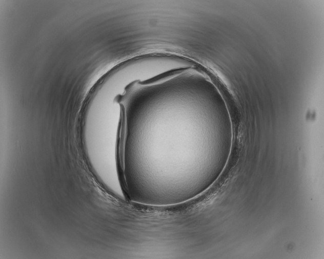 X0000090600877200708141328