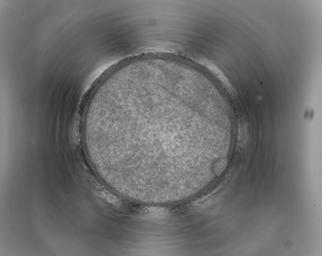 X0000090600878200708141328