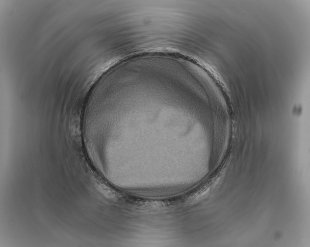 X0000090600881200708141328