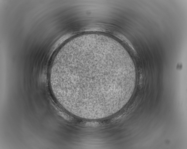 X0000090600882200708141328