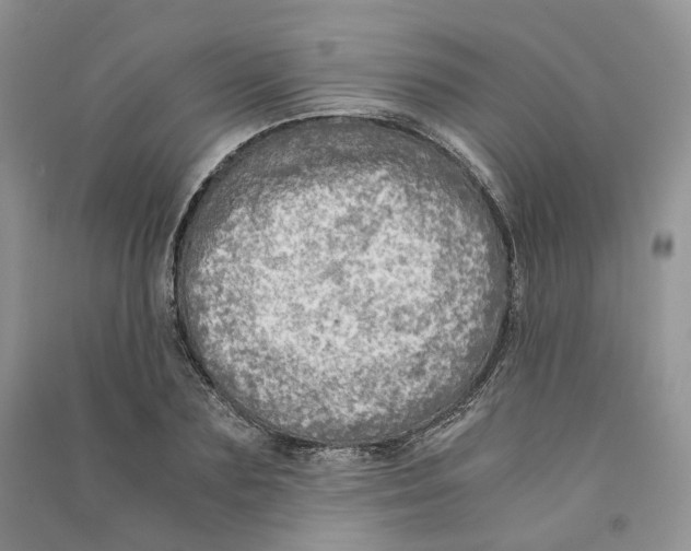 X0000090600883200708141328