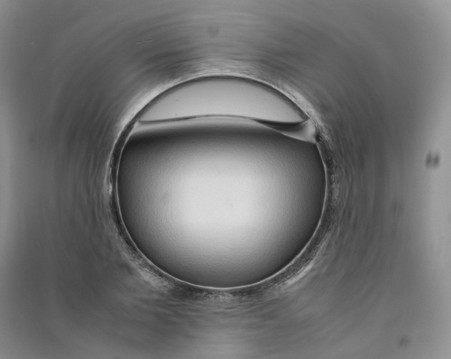 X0000090600885200708141328