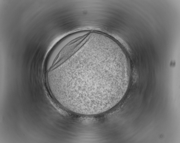 X0000090600886200708141328