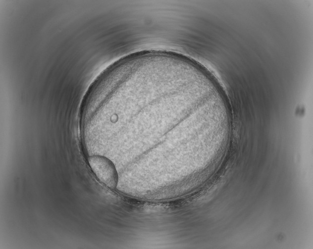 X0000090600887200708141328