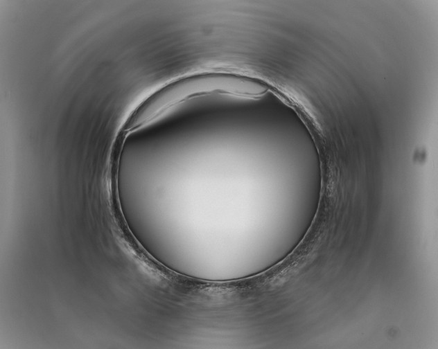 X0000090600888200708141328