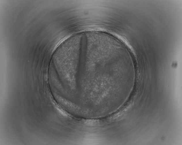 X0000090600889200708141328