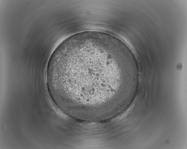 X0000090600891200708141328