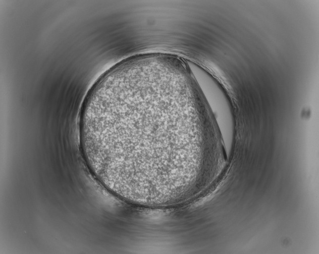 X0000090600892200708141328