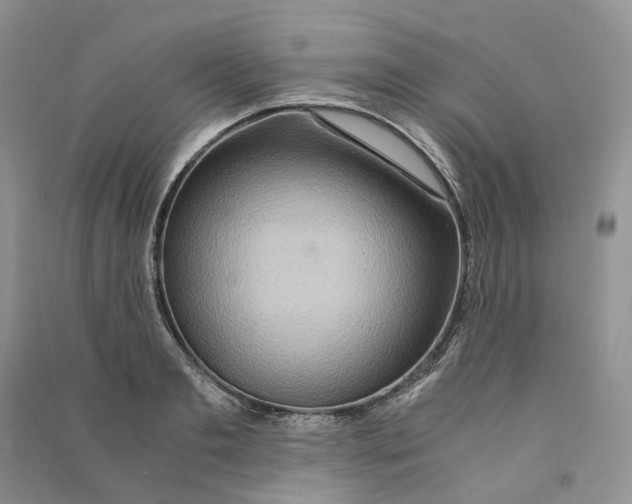 X0000090600893200708141328