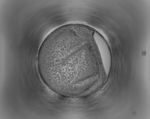 X0000090600895200708141328