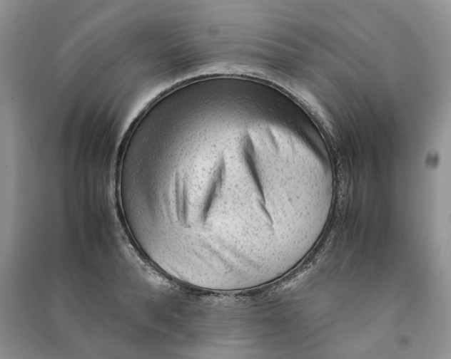 X0000090600896200708141328