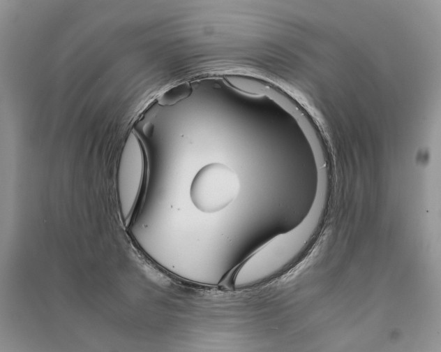 X0000090600897200708141328