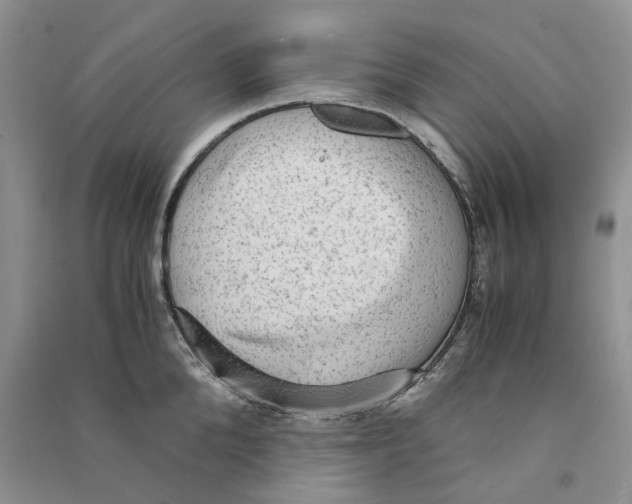 X0000090600904200708141328