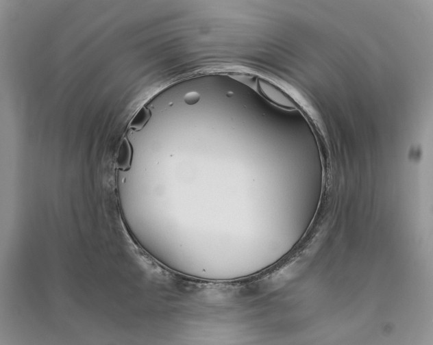 X0000090600905200708141328