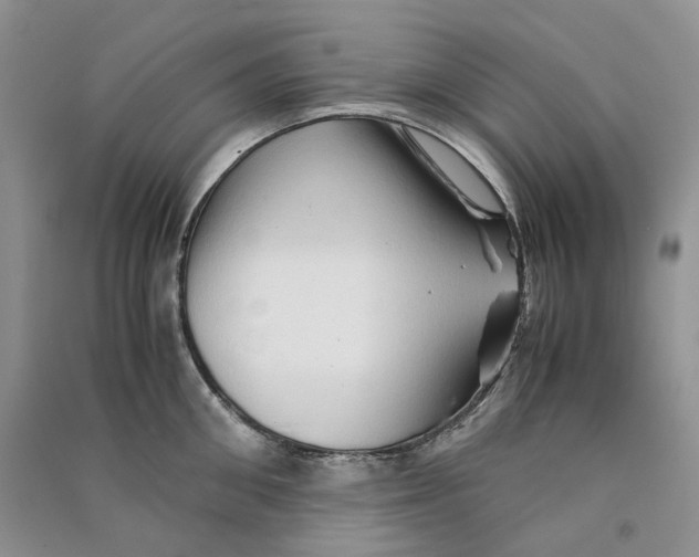 X0000090600906200708141328