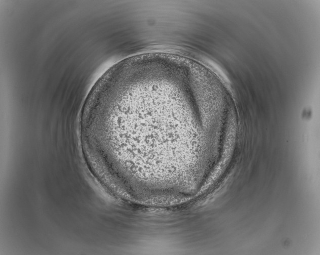 X0000090600907200708141328