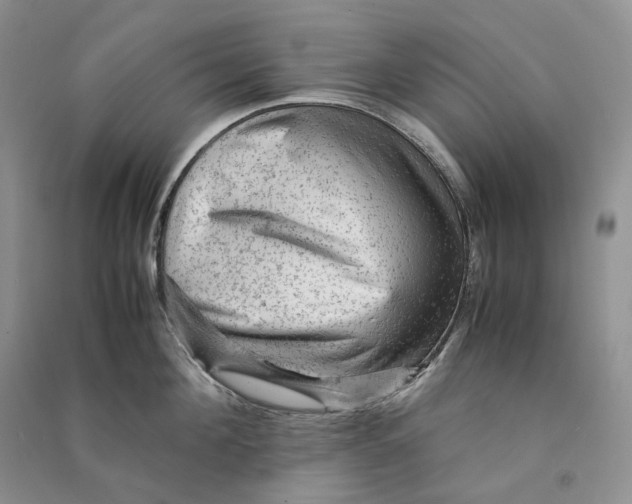 X0000090600908200708141328