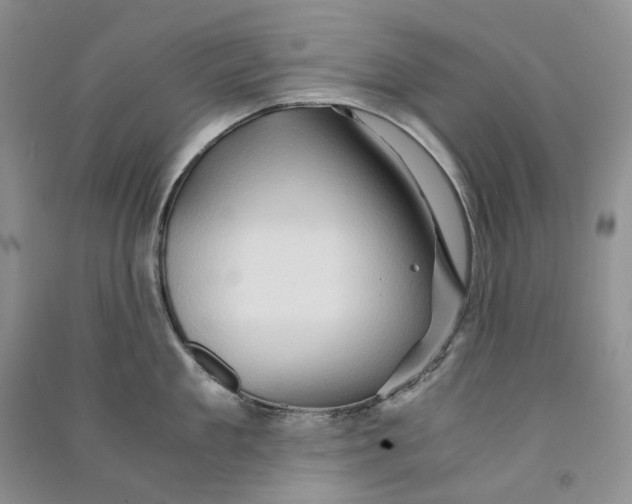 X0000090600909200708141328