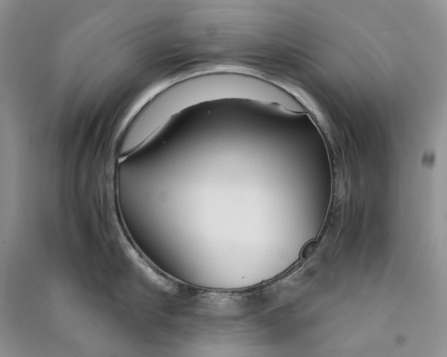 X0000090600910200708141328