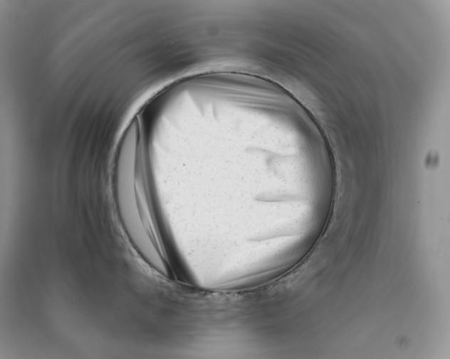 X0000090600912200708141328