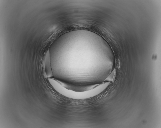 X0000090600915200708141327