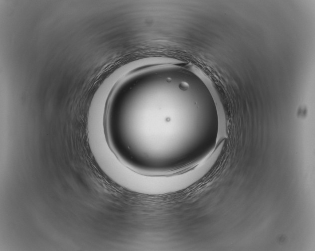 X0000090600916200708141327