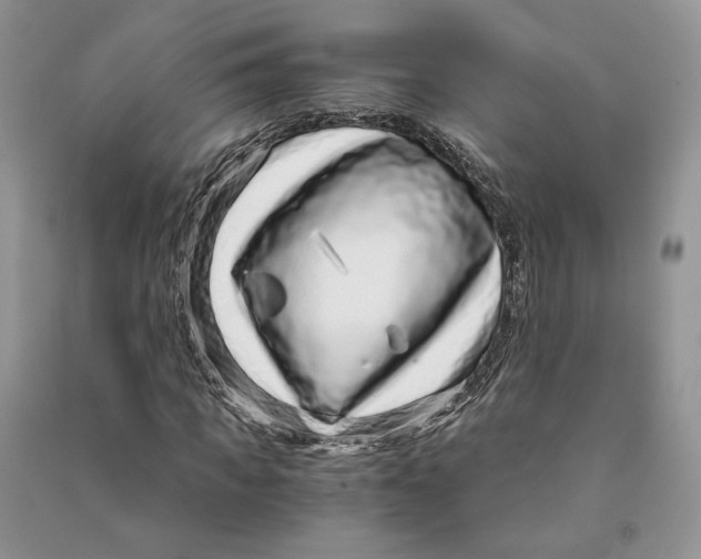 X0000090600917200708141327